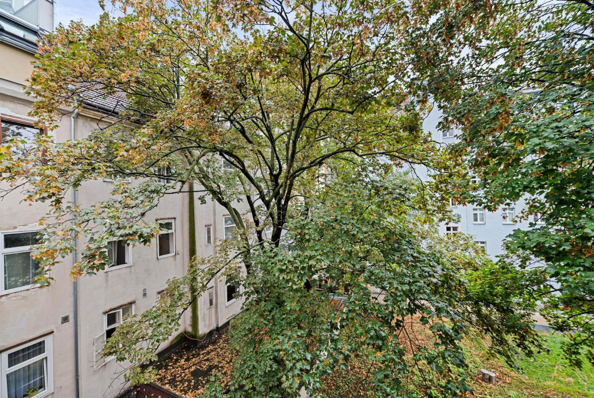 Cozy, Generous City Apartment - 10 Min To City-Centre - Contactless 24H Check-In Viena Exterior foto